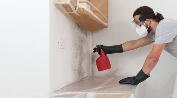 Professional Mold Cleanup technician working in Netcong, NJ